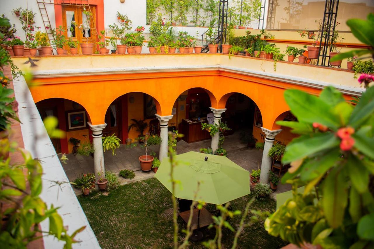 Los Arrayanes Oaxaca Экстерьер фото